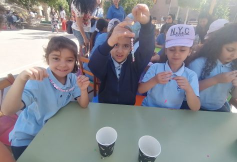 IMG_20250508_084941